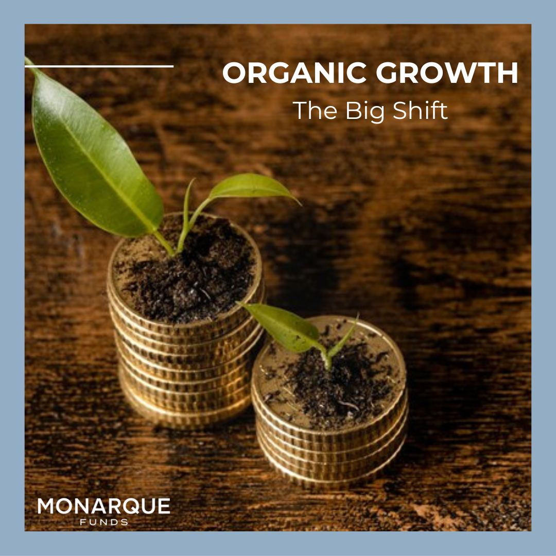 PE firms rely on organic growth for returns